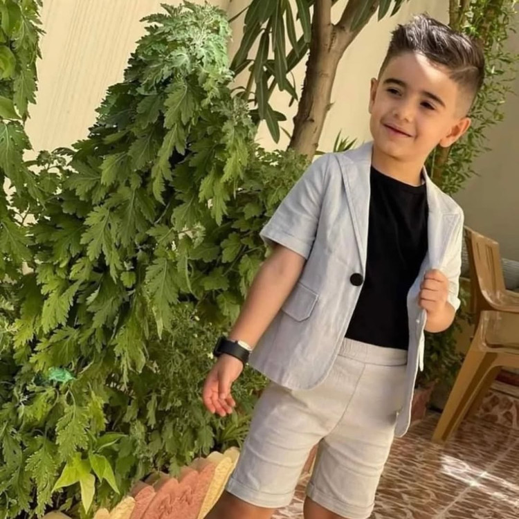 ست کت شلوارک پسرانه تک دکمه شیکسون رنگبندی متنوع و جذاب